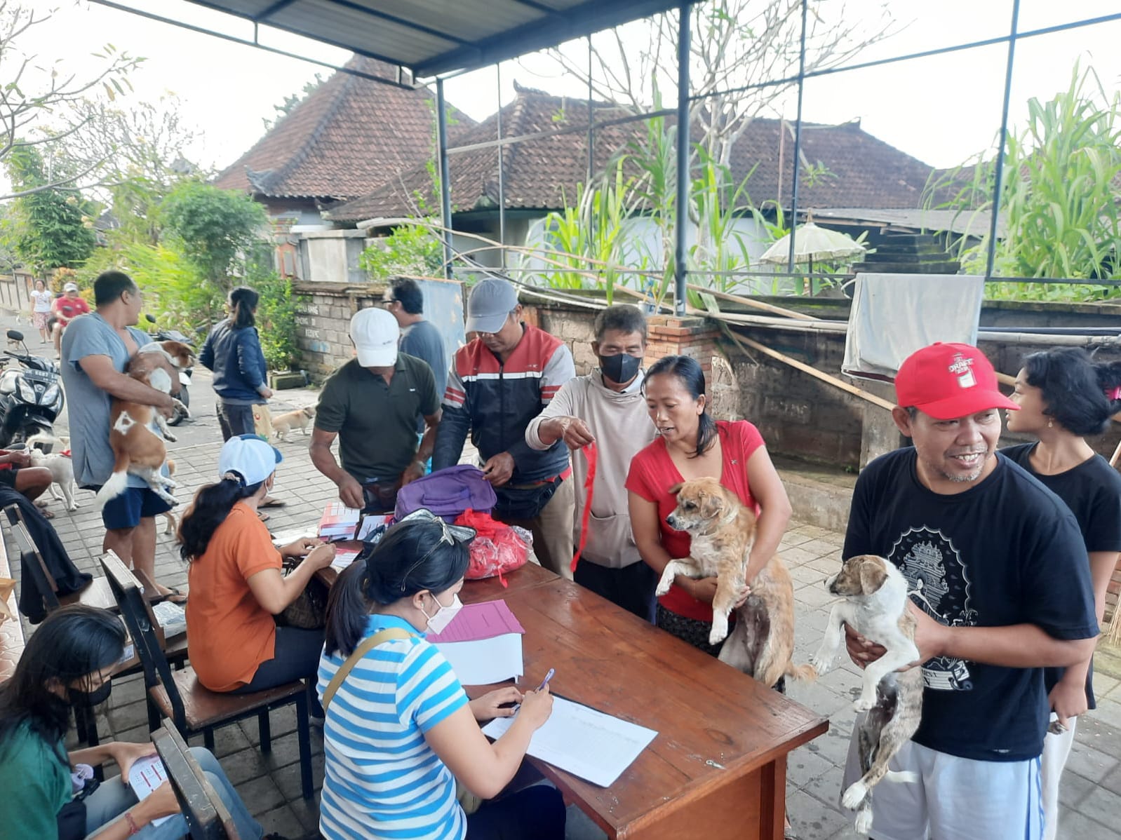 Pelaksanaan Vaksinasi Anjing di Desa Batuan