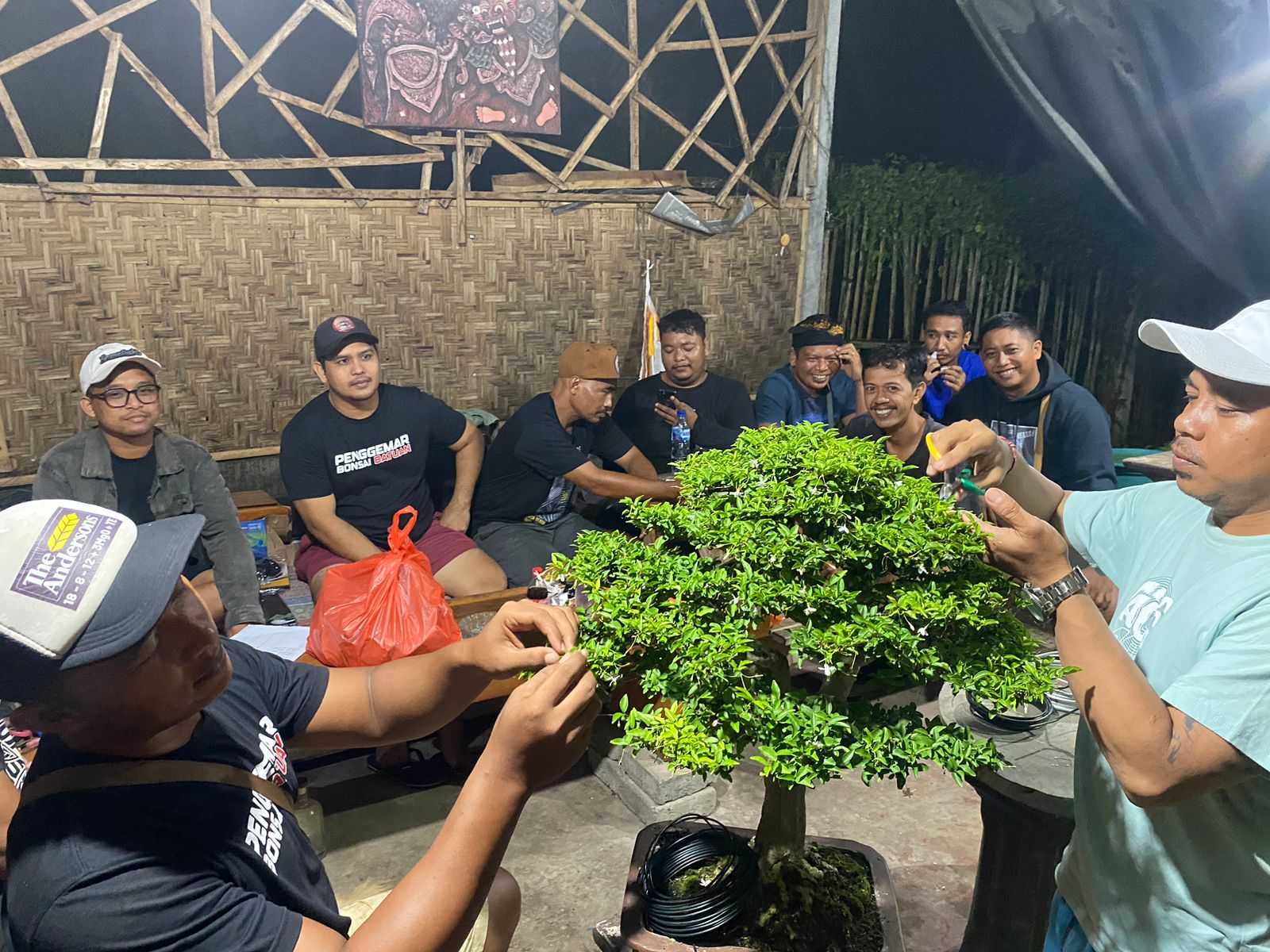 Pelatihan Komunitas Bonsai Desa Batuan
